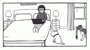 Afvallen met honden
