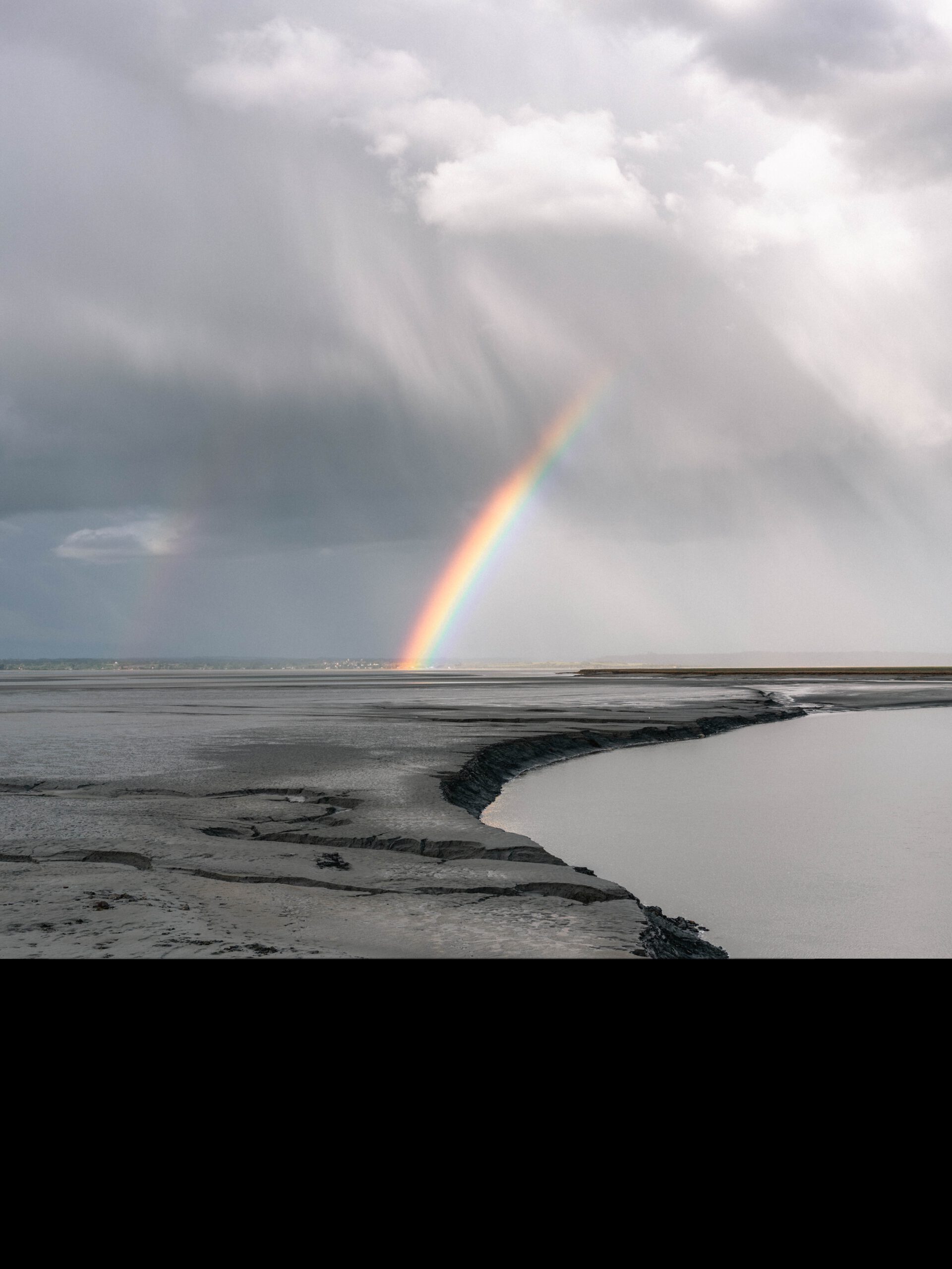 Er wordt gezegd dat dieren na een euthanasie de regenboogbrug over gaan